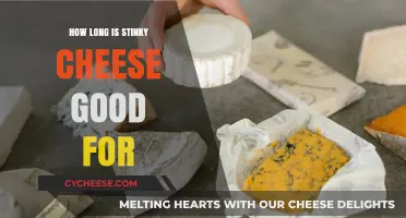 Stinky Cheese Shelf Life: How Long Does It Stay Good?