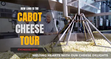 Exploring Cabot Cheese: A Comprehensive Tour Experience