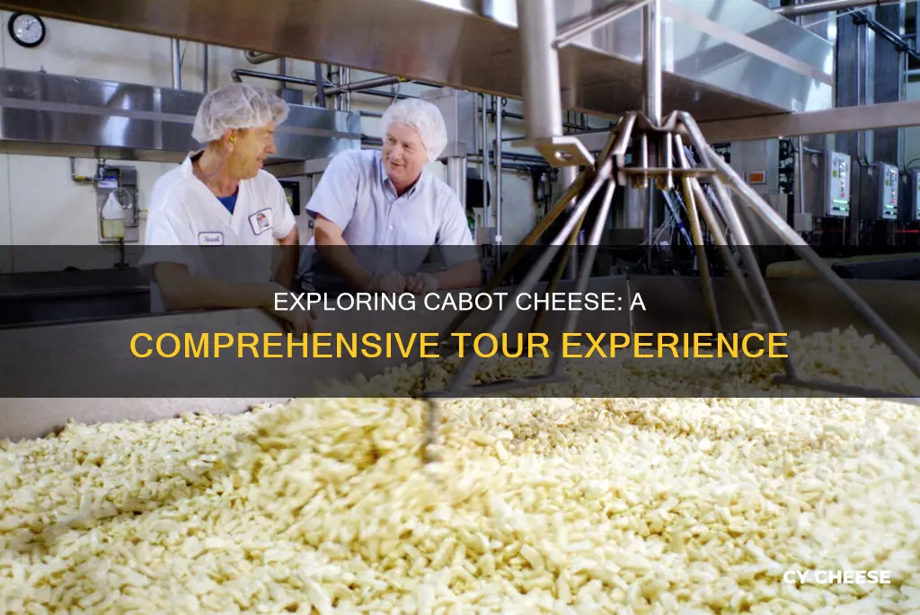 how long is the cabot cheese tour