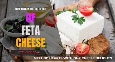 Feta Cheese: How Long Does It Last?