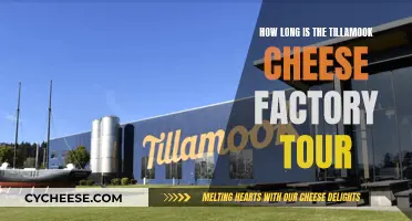 Exploring Tillamook: A Quick Cheese Factory Tour