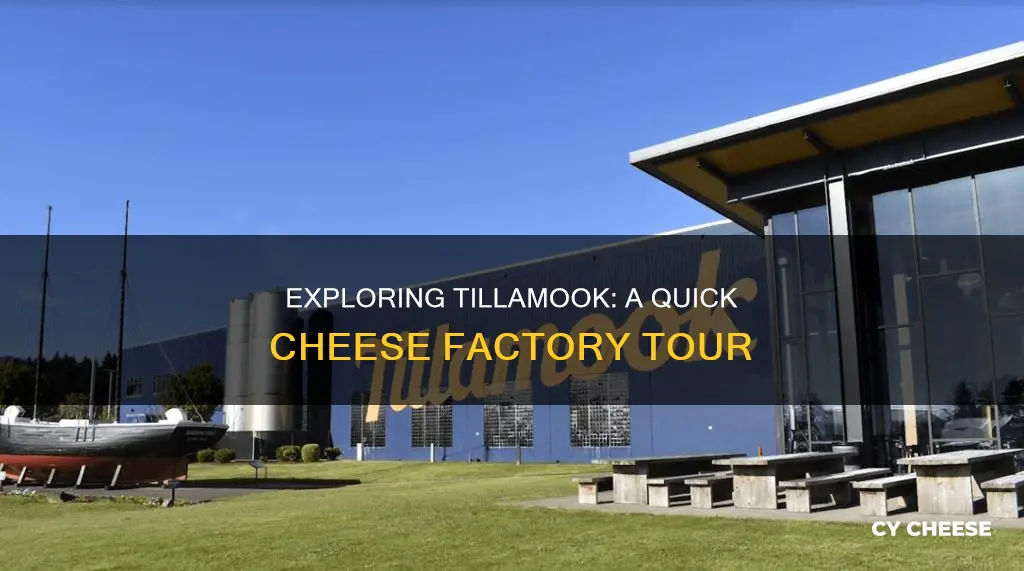 how long is the tillamook cheese factory tour