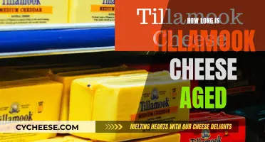 Tillamook Cheese: How Long Does Aging Take?