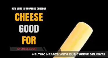 Cheddar Cheese: How Long Does it Really Last?