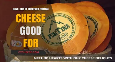 Fontina Cheese: How Long Does it Last?