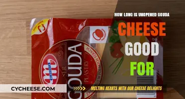 Gouda Cheese: How Long Does it Last?