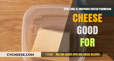 The Ultimate Guide to Storing Grated Parmesan Cheese