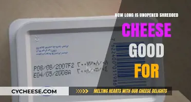 Shredded Cheese: How Long Does It Last?