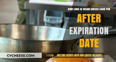Vegan Cheese: How Long Does It Last Past Its Expiry?