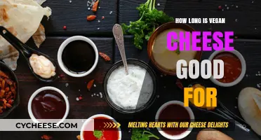 Vegan Cheese: How Long Does it Last?