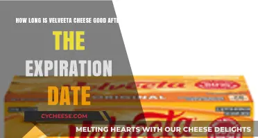 Velveeta Cheese: How Long Does it Last Past Expiry?