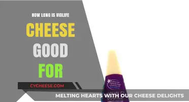 Violife Cheese: How Long Does it Last?