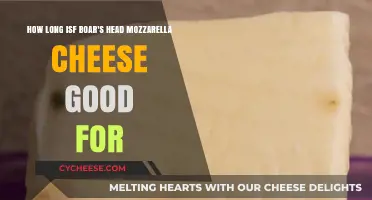 Mozzarella Cheese: How Long Does It Last?