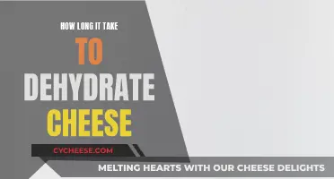 Dehydrating Cheese: How Long Does It Really Take?