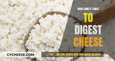 Cheese Digestion: Understanding the Time It Takes to Process