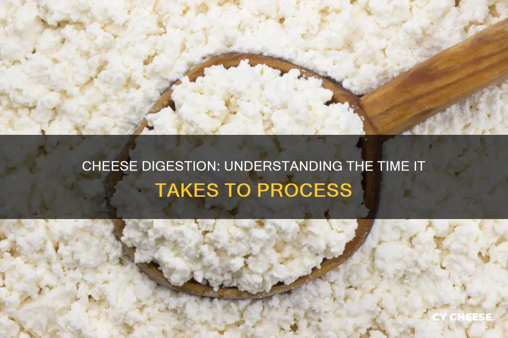 how long it takes to digest cheese