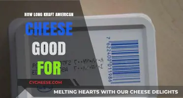 American Cheese: How Long Does Kraft Last?