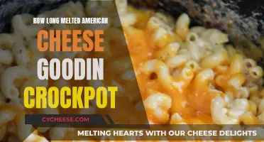 Crockpot American Cheese: How Long Does It Last?