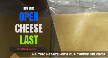 Cheese Storage: How Long Does Opened Cheese Last?