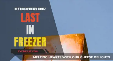 Freezing Raw Cheese: How Long Does It Last?