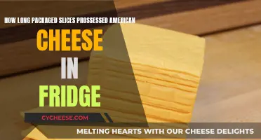 American Cheese: How Long Does It Last in the Fridge?