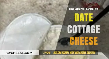 Cottage Cheese Expiration: How Long Is It Safe to Eat Past the Date?