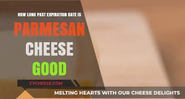 Parmesan Cheese: How Long Does It Last Past Expiration?
