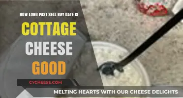 How Long is Cottage Cheese Good Past the Sell-By Date?