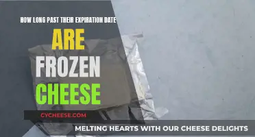 Cheese Freezing: How Long Does Frozen Cheese Last?