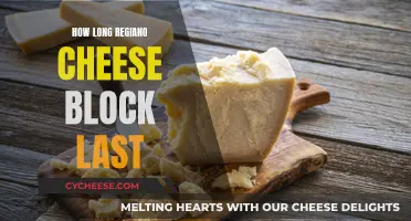 Extending the Lifespan of Your Block of Reggiano Cheese