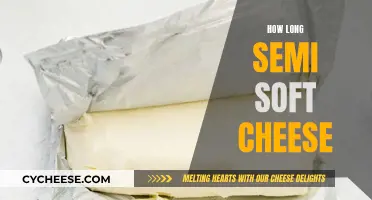 Extending the Life of Semi-Soft Cheeses: Tips and Tricks