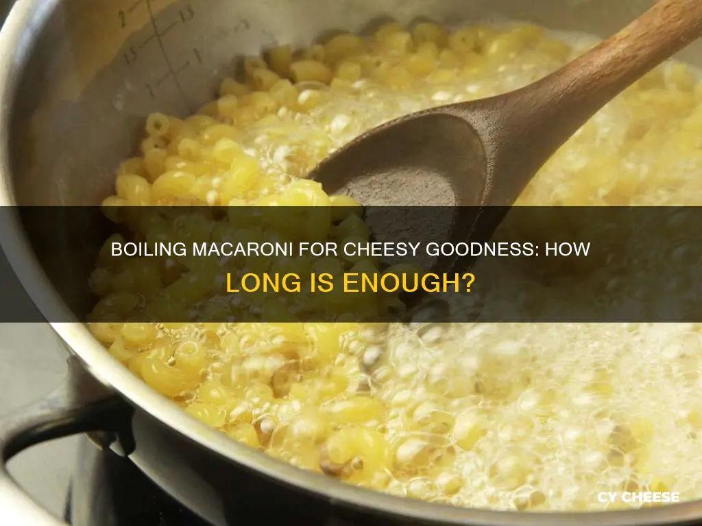 how long should macaromi and cheese boil