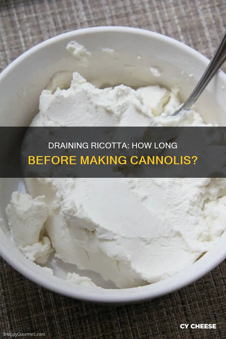 how long should you drain ricotta cheese before making cannolis