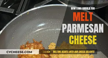 Melting Parmesan Cheese: How Long Should You Heat It?