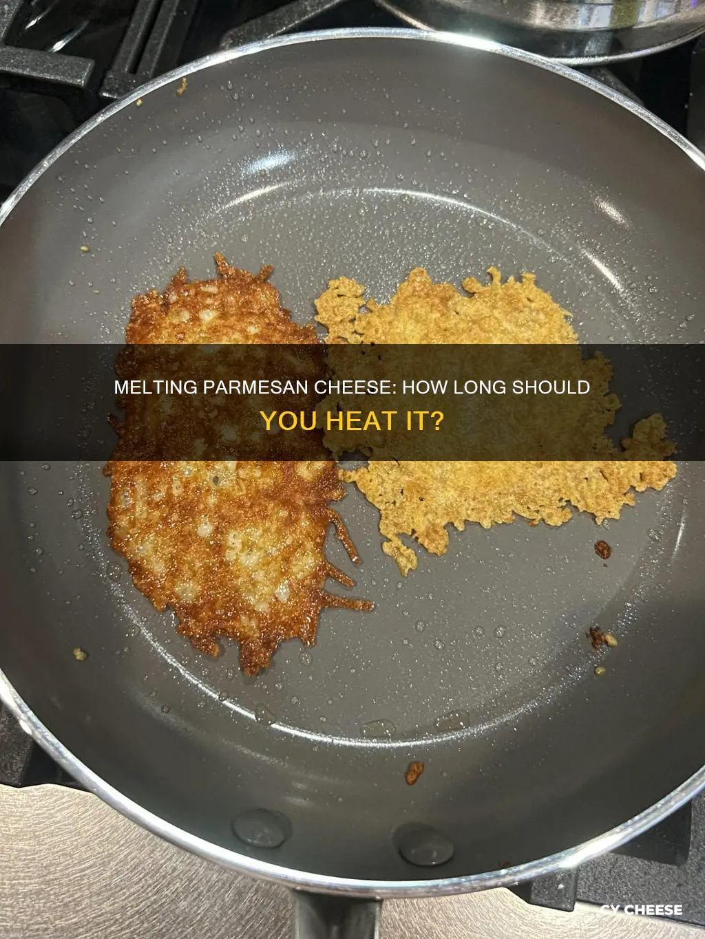 how long should you melt parmesan cheese