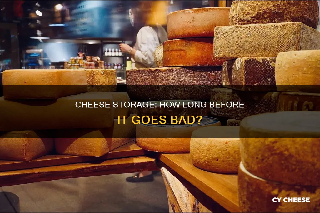 how long should you store cheese