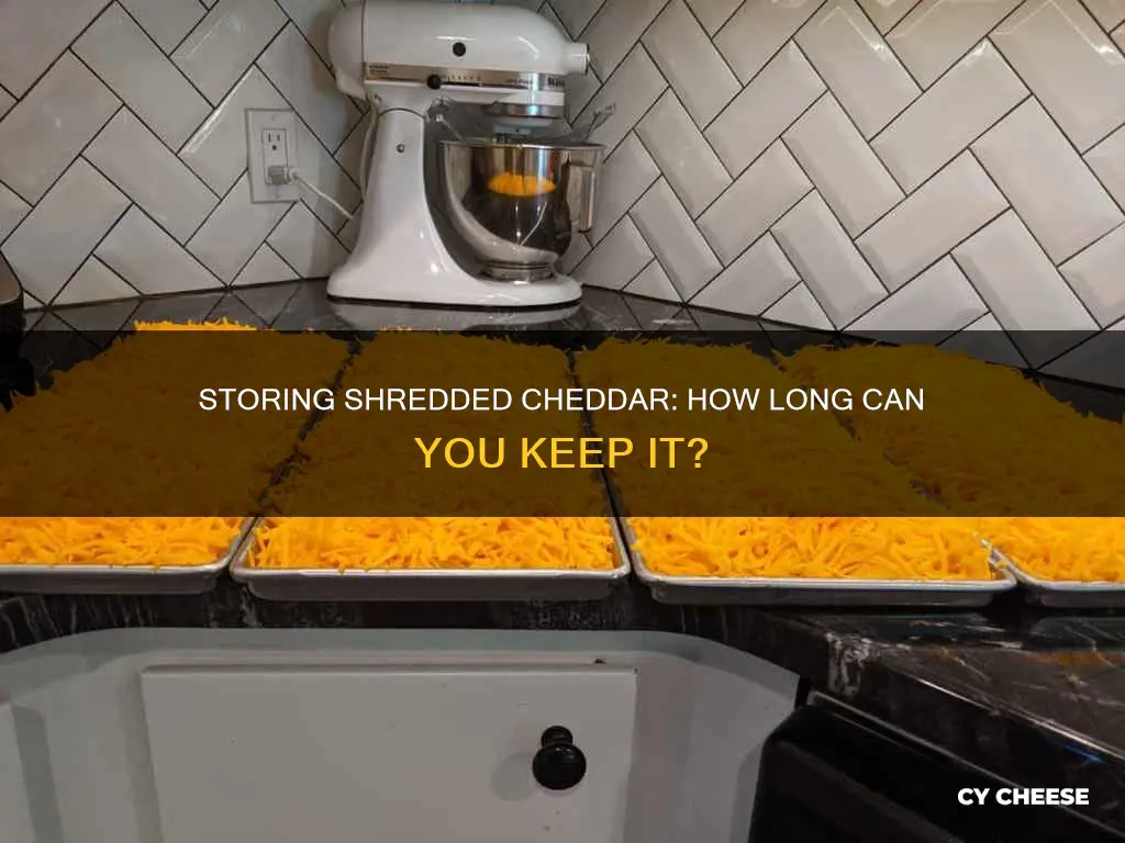 how long shredded cheddar cheese fridge
