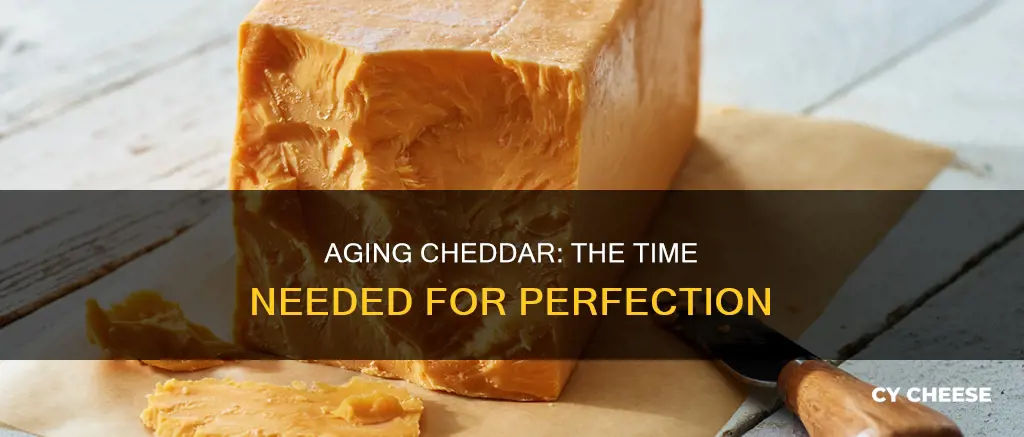 how long to age cheddar cheese