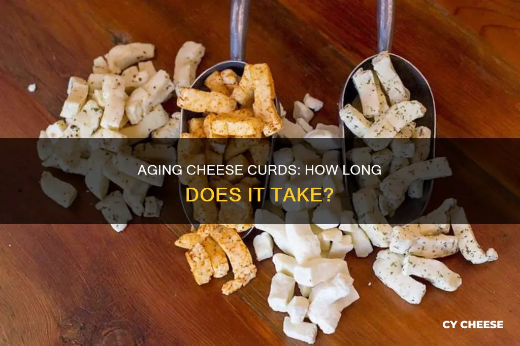 how long to age cheese curd