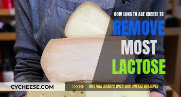 Aging Cheese: Reducing Lactose, Enhancing Flavor