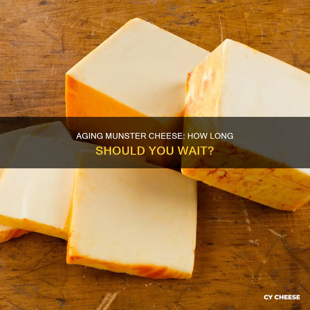 how long to age munster cheese after making