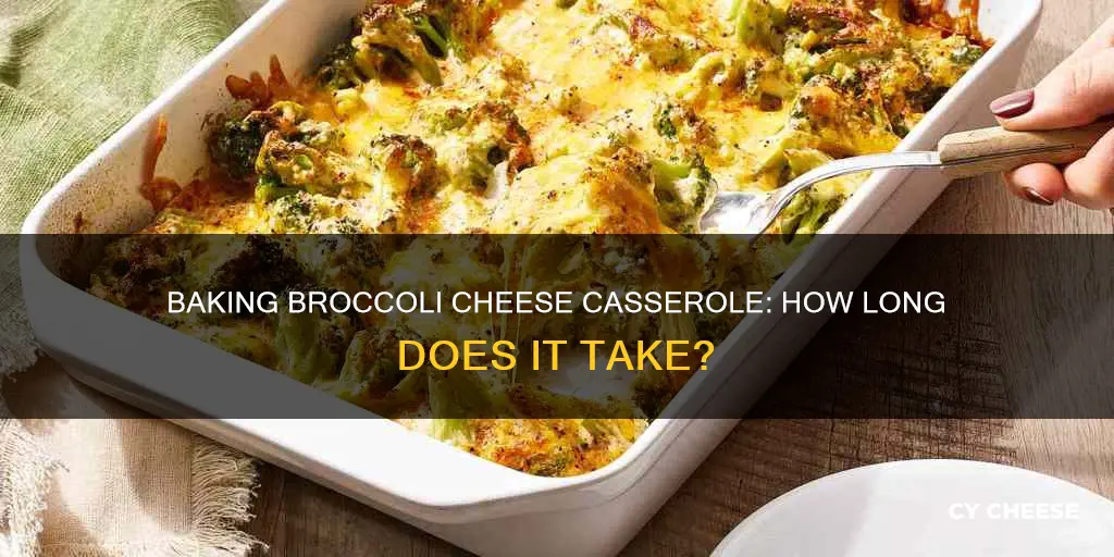 how long to bake a broccoli cheese casserole