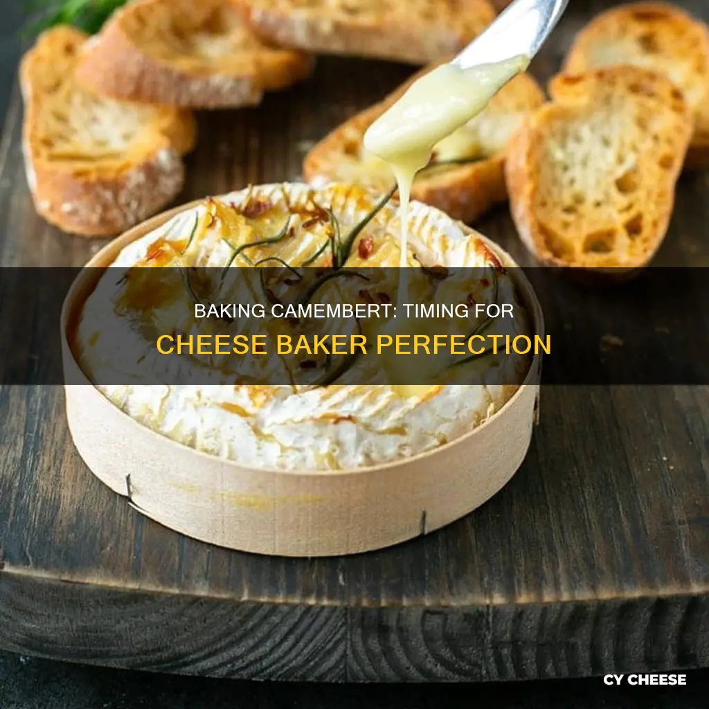 how long to bake camembert in a cheese baker