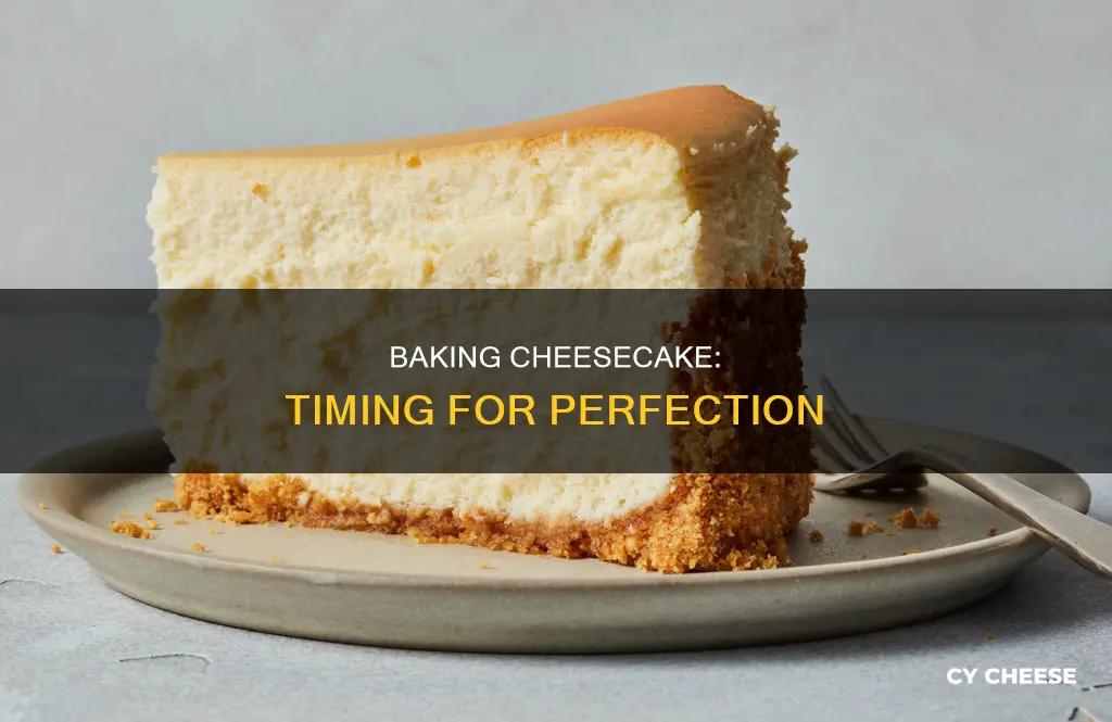 how long to bake cheese cake