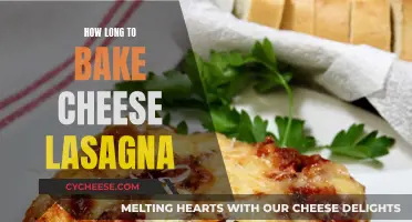 Baking Cheese Lasagna: Getting the Timing Right