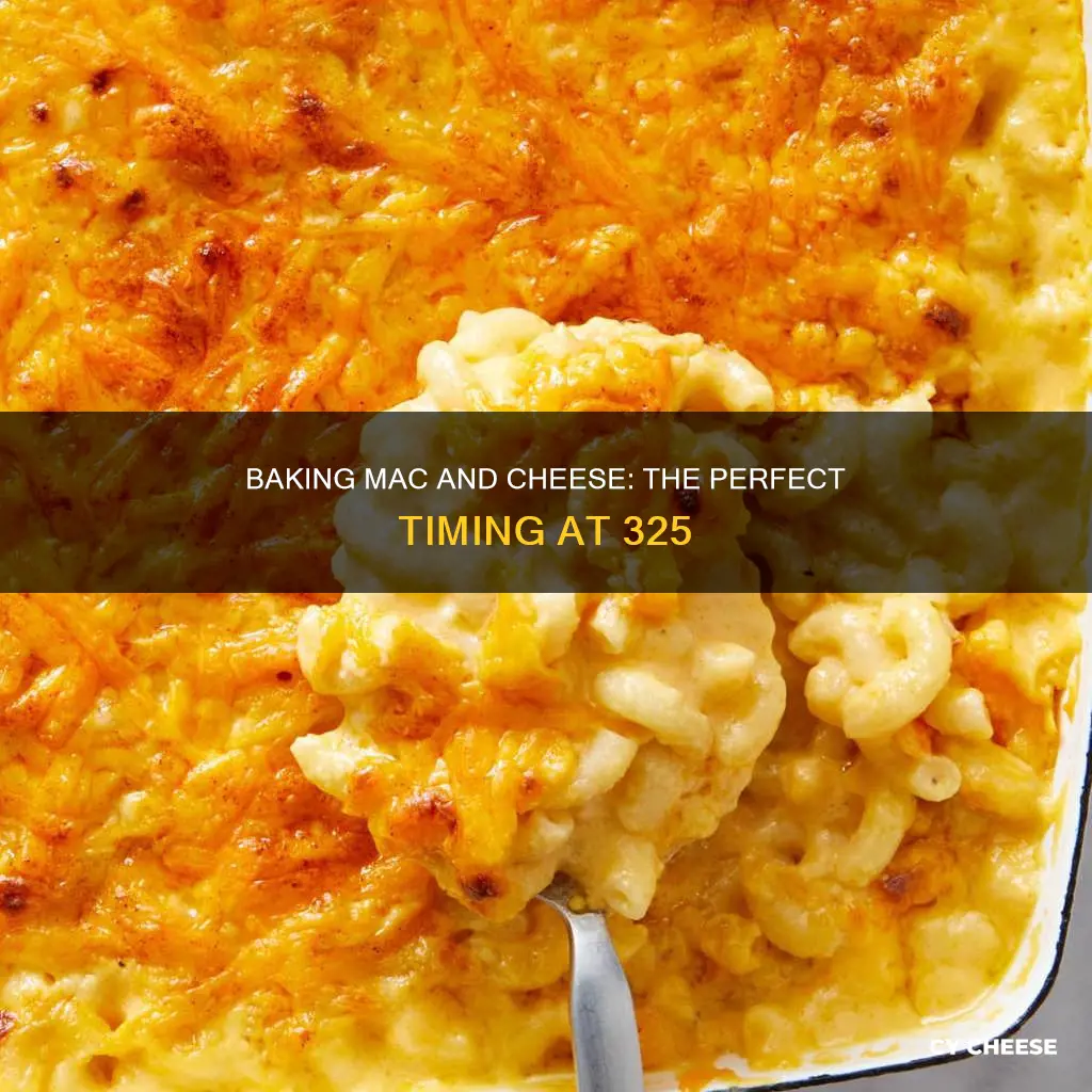 how long to bake macaroni and cheese at 325