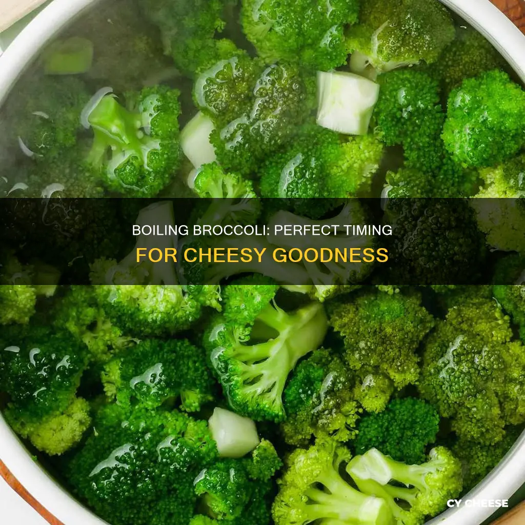 how long to boil broccoli for broccoli and cheese