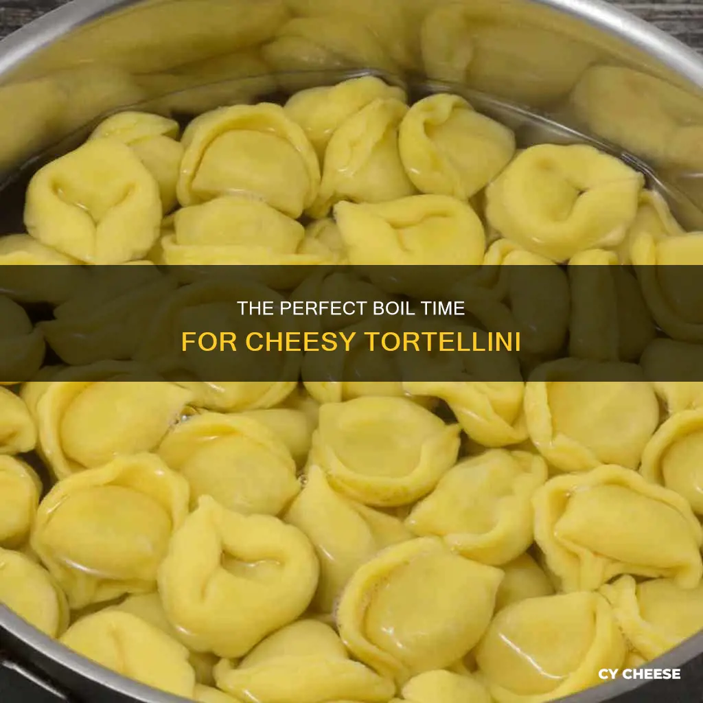 how long to boil cheese tortellini