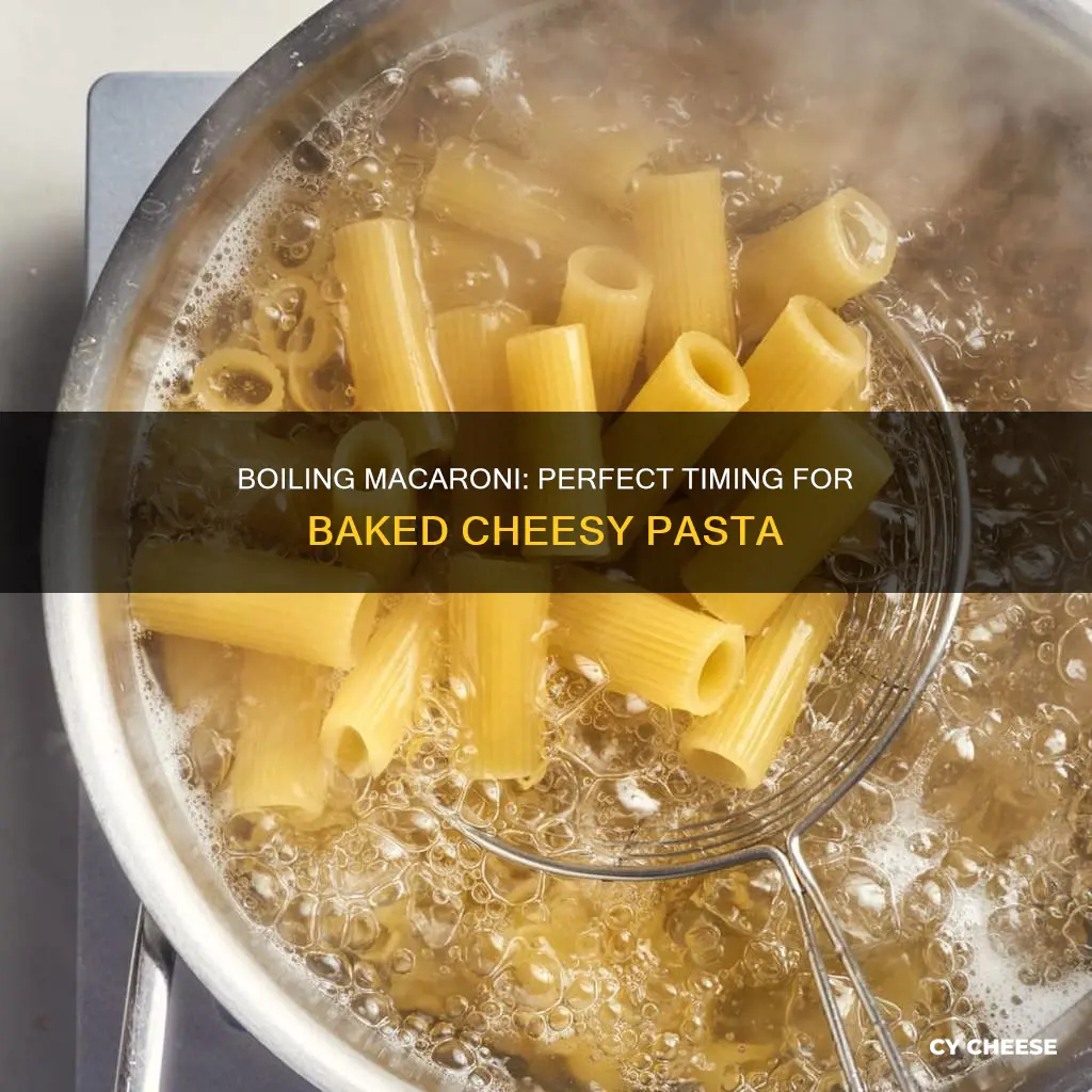 how long to boil macaroni for baked macaroni and cheese