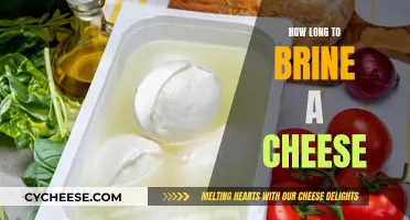 Brining Cheese: How Long Should You Soak for Flavor?